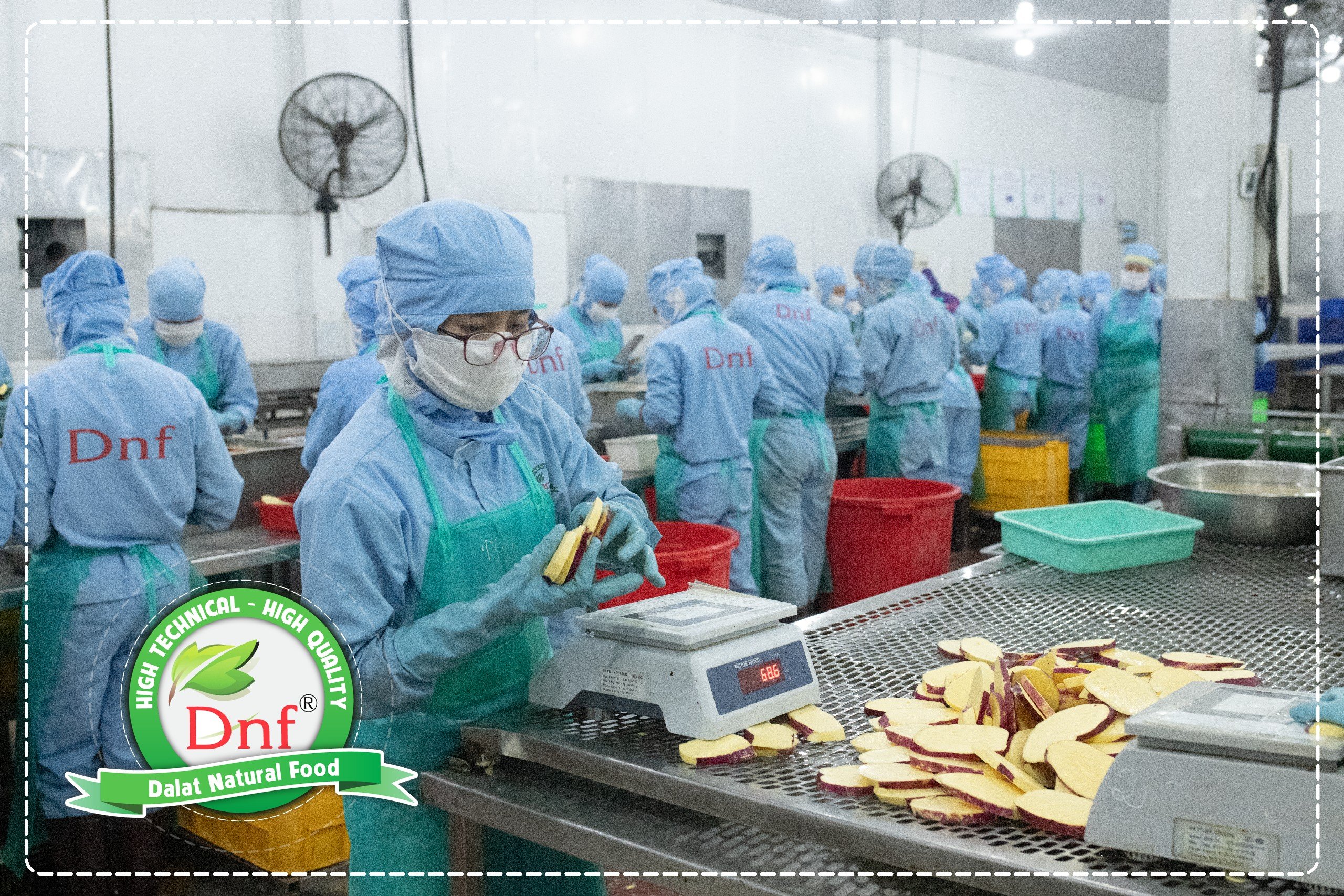 Công nhân DNF sơ chế khoai lang trong khu vực sản xuất đạt chuẩn vệ sinh an toàn thực phẩm.